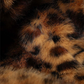 PANAMI LEOPARD JACKET